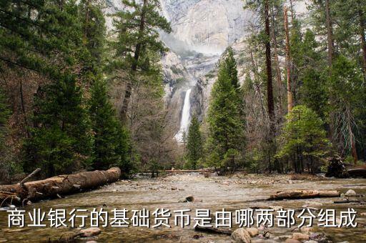 商業銀行的基礎貨幣是由哪兩部分組成