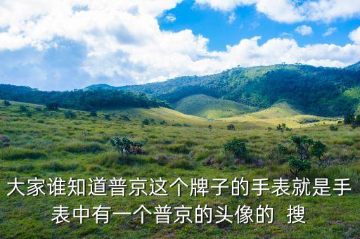 普京皮帶是什么牌子，大家誰知道普京這個牌子的手表就是手表中有一個普京的頭像的  搜