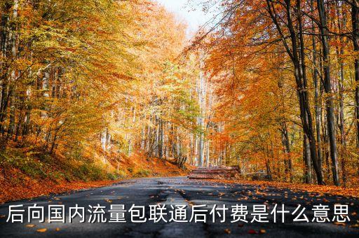 后向國內流量包聯通后付費是什么意思
