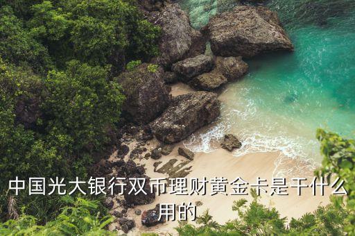 光大銀行雙幣理財產品叫什么，中國光大銀行雙幣理財黃金卡是干什么用的