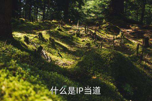 什么是IP當道