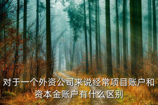 對于一個外資公司來說經常項目賬戶和資本金賬戶有什么區別