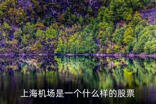 上海機場股票屬于什么股票，上海機場屬于什么行業的股票