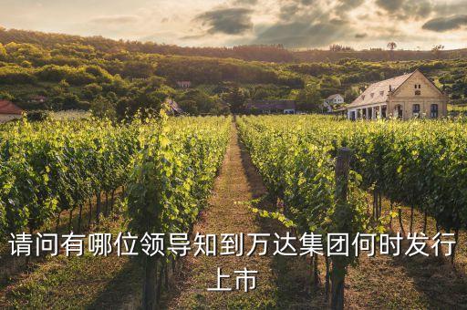 請問有哪位領導知到萬達集團何時發行上市