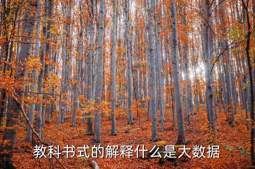 教科書式的解釋什么是大數據