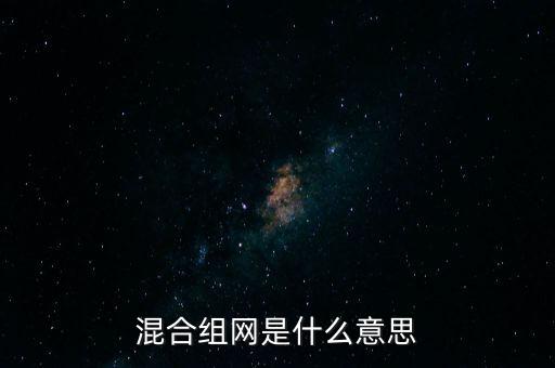 混合組網是什么意思