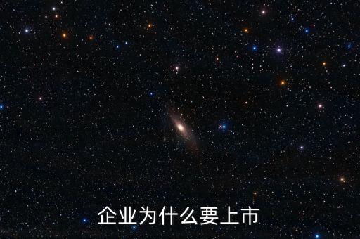 企業為什么要上市
