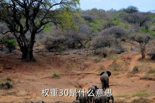 權重比例是什么意思，權重30是什么意思