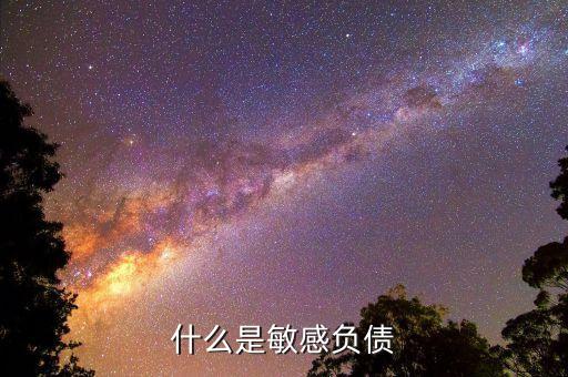 什么是直接負債，什么是直接還款