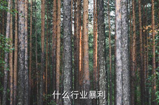 什么行業暴利，什么行業暴利