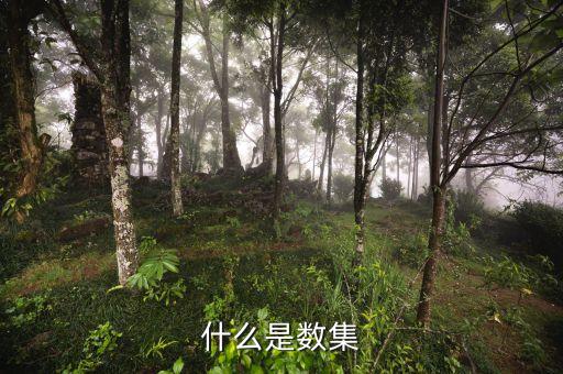 什么是數集