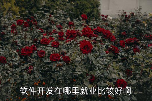 軟件開發在哪里就業比較好啊