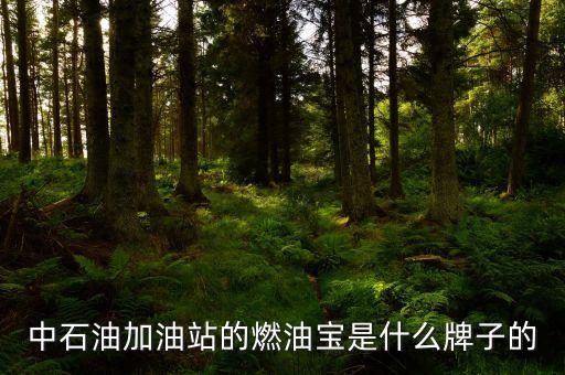 珠海中國(guó)石油里賣(mài)的是什么燃油寶，燃油寶是什么網(wǎng)上有得賣(mài)嗎