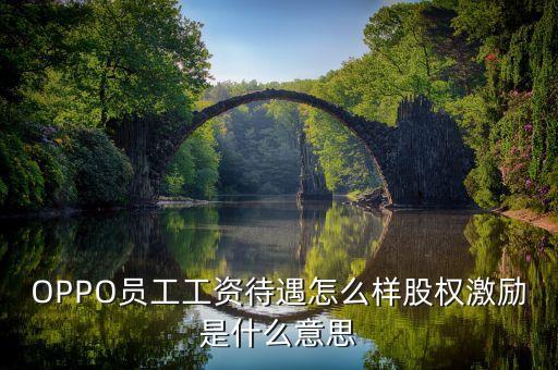 全員持股什么意思，OPPO員工工資待遇怎么樣股權激勵是什么意思