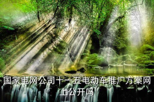 國家電網(wǎng)公司十一五電動(dòng)車推廣方案網(wǎng)上公開嗎