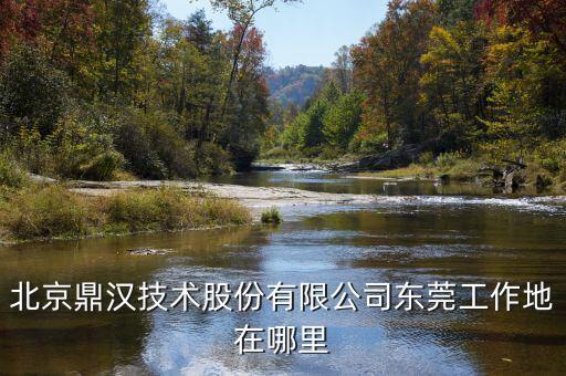 鼎漢技術主要做什么，北京鼎漢技術股份有限公司東莞工作地在哪里