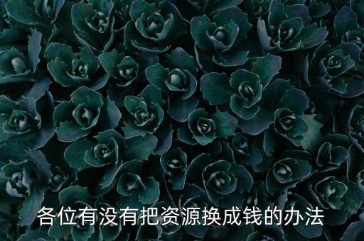 通過什么將資源轉化為財富，各位有沒有把資源換成錢的辦法