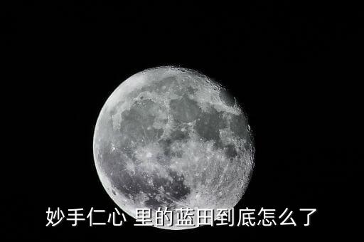藍田為什么會破產，瀘州藍田濱江路為何停工了