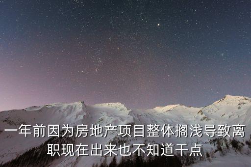 一年前因為房地產項目整體擱淺導致離職現在出來也不知道干點
