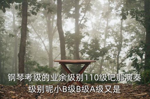 鋼琴考級的業余級別110級吧那演奏級別呢小B級B級A級又是