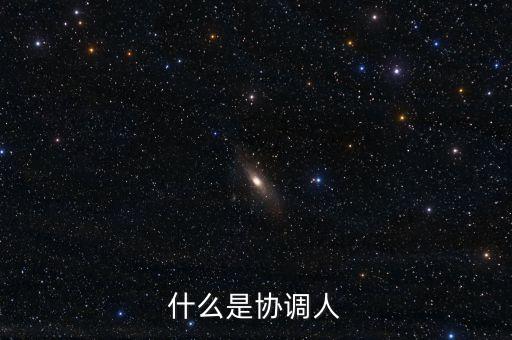什么是協調人
