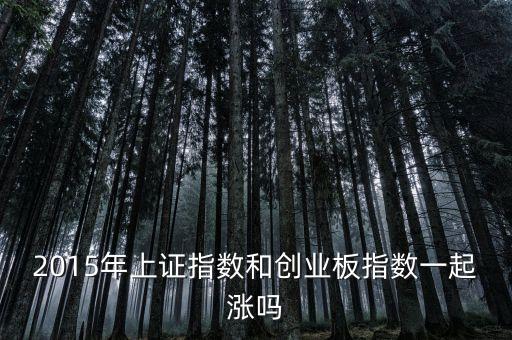 2015年創業板為什么漲，2015年上證指數和創業板指數一起漲嗎