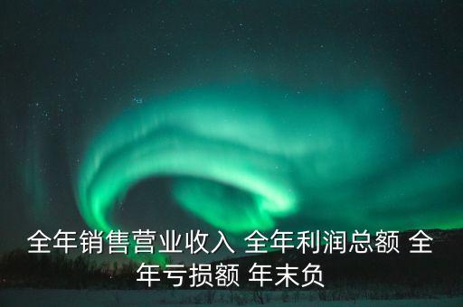 全年銷售營業收入 全年利潤總額 全年虧損額 年末負