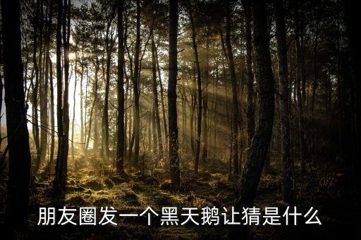 朋友圈發一個黑天鵝讓猜是什么