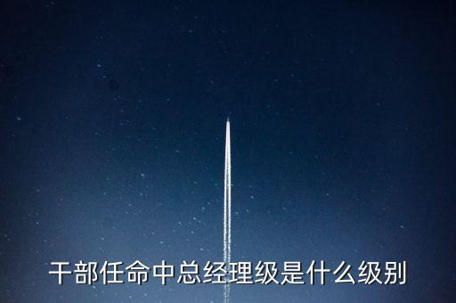 干部任命中總經理級是什么級別