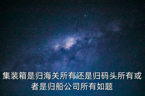 重慶長江輪船公司集裝箱分公司屬于什么性質，集裝箱是船公司的么