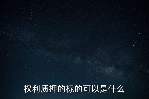 權利質押的標的可以是什么