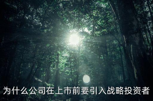 上市為什么要引入風投，為什么公司在上市前要引入戰略投資者