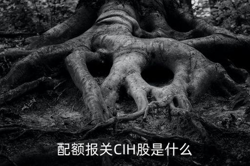 配額報關CIH股是什么