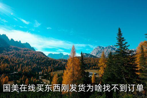 國美待發貨為什么查不到訂單，國美 已付款為何沒有顯示定單