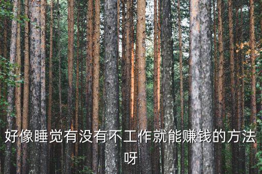 什么事可以睡著賺錢，上晚班晚上八點上到早晨六點期間可以睡覺我想白天在干點賺錢