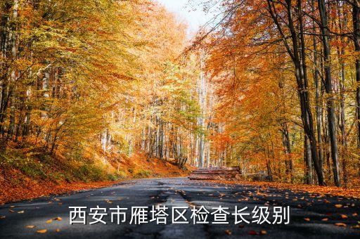 西安市正局級是什么級別，碑林分局局長級別是什么級別