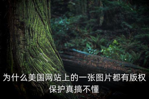 為什么國外重視版權，為什么美國網站上的一張圖片都有版權保護真搞不懂