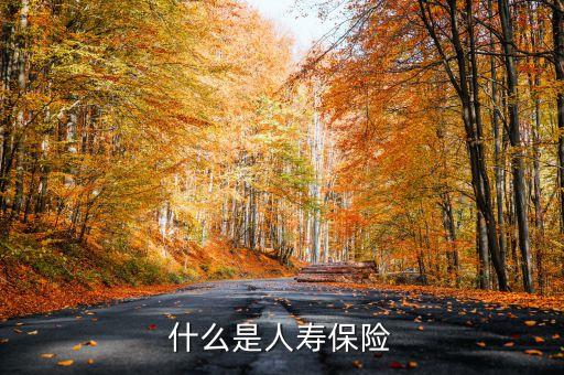 什么叫新型人壽保險(xiǎn)，什么是人壽保險(xiǎn)