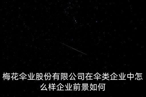 梅花傘業股份有限公司在傘類企業中怎么樣企業前景如何