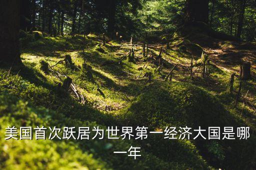 美國首次躍居為世界第一經濟大國是哪一年