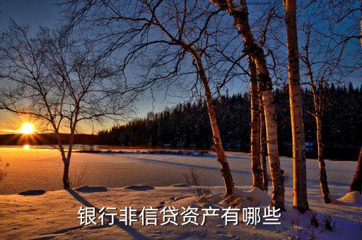 非信貸業務是什么，什么是銀行的非信貸資產