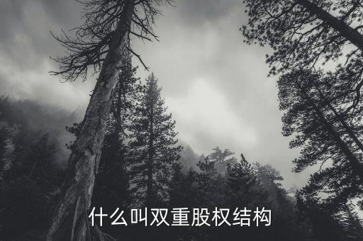 什么是雙層董事會，家長不提供學習費用能否貸款