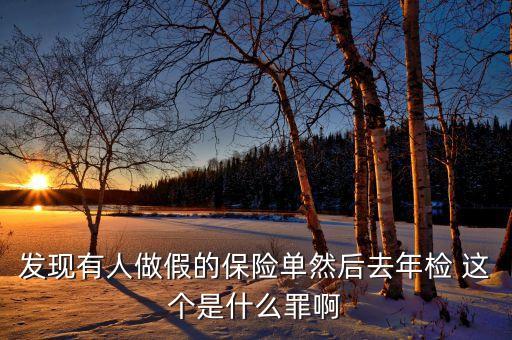 什么是做假保單，發現有人做假的保險單然后去年檢 這個是什么罪啊