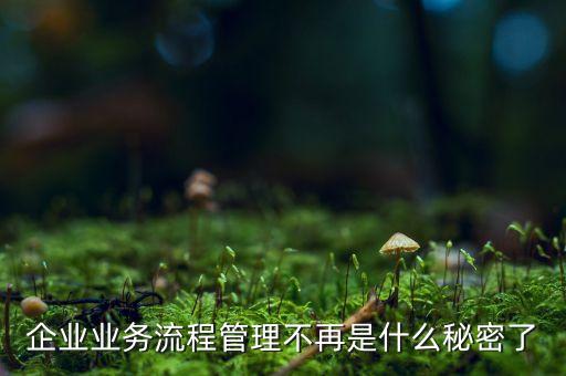 流程管理的亂象是什么，企業業務流程管理不再是什么秘密了