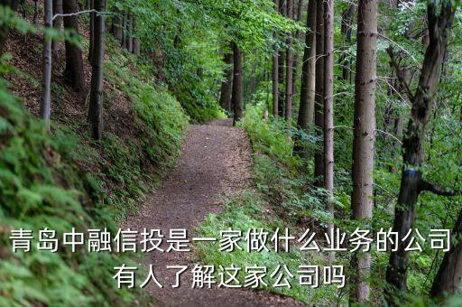 青島中融信投是一家做什么業務的公司有人了解這家公司嗎