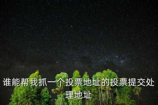 投票提交處理地址是什么，提交投票的問題怎么處理