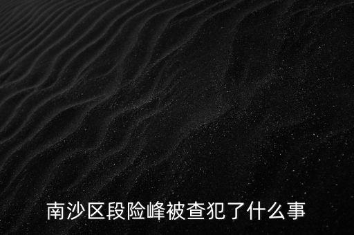 南沙區段險峰被查犯了什么事