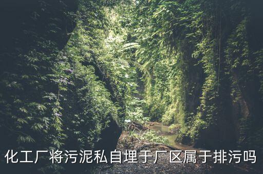 化工廠將污泥私自埋于廠區屬于排污嗎