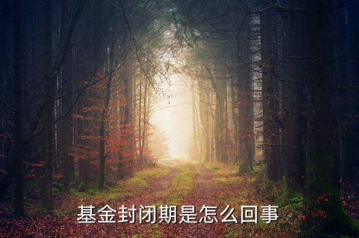 封閉式基金為什么要封閉，為什么認購基金要封閉期封閉期是3個月內不得提現