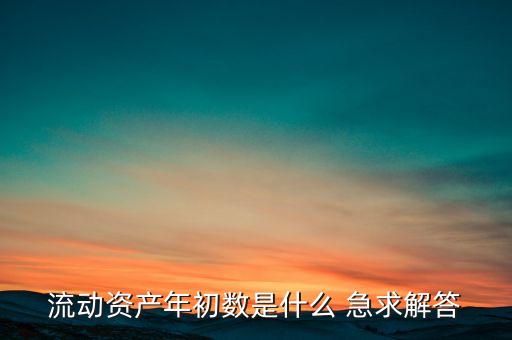 流動資產年初數是什么 急求解答